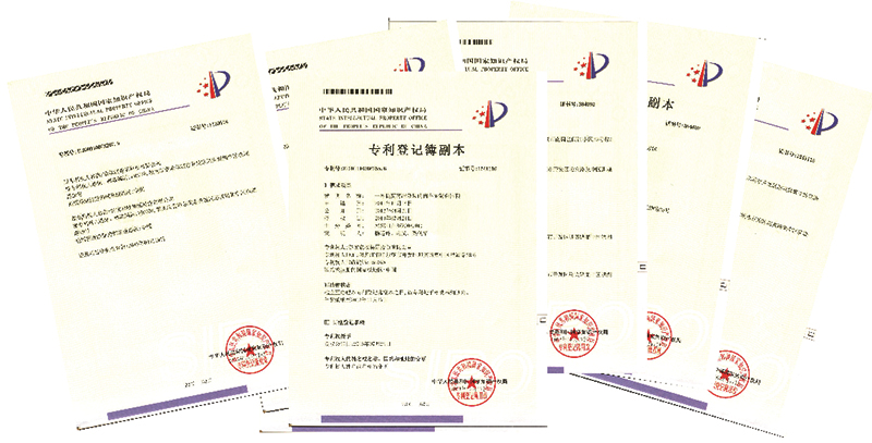 谷實生物(wù)集團股份有(yǒu)限公(gōng)司 谷實生物(wù)集團股份有(yǒu)限公(gōng)司